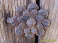 [알라딘서재]예산, 추사 김정희 고택