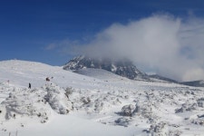 [글샘의 샘터] : 알라딘