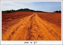 [글샘의 샘터] : 알라딘