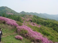 [글샘의 샘터] : 알라딘