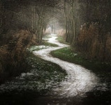 [글샘의 샘터] : 알라딘