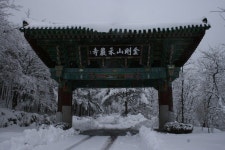 [글샘의 샘터] : 알라딘