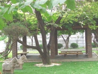 [느티나무 하늘을 날다] : 알라딘