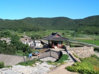 [ 소나무집에서] : 알라딘