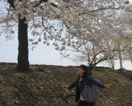 [Truly, Madly, Deeply] : 알라딘