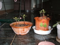 [생활 속의 멋과 여유] : 알라딘