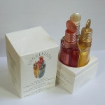 [성윤이아빠의 정글대탐험] : 알라딘