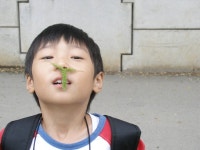 [알라딘서재]생태기행