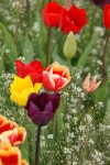 [알라딘서재]Bouquet Bouquet