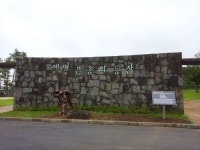 [잡식서재] 책과 통하는 블로그, 알라딘 서재!