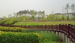 [알라딘서재]걷기 5시간 (광명.개봉.고척동.목동.안양천.목감천)
