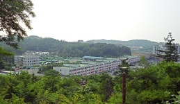 [Rainbow MOMO] : 알라딘