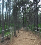 [Rainbow MOMO] : 알라딘