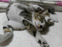 [Salon de Tatyana] : 알라딘