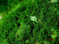 	[               내 인생은 진행중] 책과 통하는 블로그, 알라딘 서재!