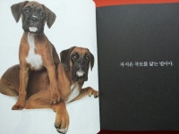 봄덕 | YES 블로그