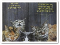 [늘앤후님의 책놀이터] : 알라딘