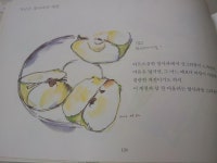 [알라딘서재][2015-231~239] 도서관에서 읽은 그림책들
