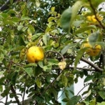 	[               내 인생은 진행중] 책과 통하는 블로그, 알라딘 서재!