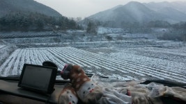 [알라딘서재]1126 그리고 1203 1126 그리고 1203