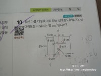 [알라딘서재]초등수학 셀파해법수학으로 학교진도따라가기