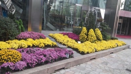 [알라딘서재]<어떤 날의 기록> 가을 풍경과 함께 시작된 나의 현대무용 <어떤 날의 기록> 가을 풍경과 함께 시작된 나의 현대무용