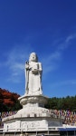 [알라딘서재]동화사의 가을 동화사의 가을