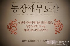 [딸기홀릭의 영화같은 이야기] : 알라딘