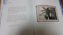 [알라딘서재]엄마바라기 조형예술가 엄마바라기 조형예술가