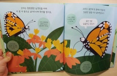 [알라딘서재]나비의 한살이를 너무 이쁜 그림체로 만나봤네요 나비의 한살이를 너무 이쁜 그림체로 만나봤네요