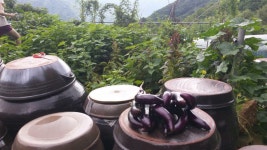 [꽃 피는 산골] : 알라딘