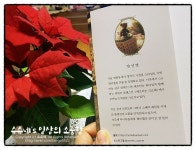 [알라딘서재]레이첼의 장미 모티브 손뜨개 소품 31ⓦ팜파스 출판사 레이첼의 장미 모티브 손뜨개 소품 31ⓦ팜파스 출판사