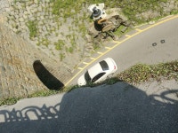 [알라딘서재]애기누운주름잎 애기누운주름잎