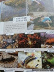 [알라딘서재]봄나무// 동물을 제대로 발견하는 방법 봄나무// 동물을 제대로 발견하는 방법 