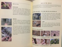 [알라딘서재][2018-186~192] 바라만봐도 행복해지는 식물들 이야기 [2018-186~192] 바라만봐도 행복해지는 식물들 이야기