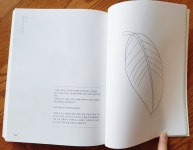 [알라딘서재]오늘 당신이 만나는 꽃그림 보태니컬아트 오늘 당신이 만나는 꽃그림 보태니컬아트