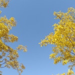 [알라딘서재]어쩜 책을 멀리하긴 했어도 읽지 않은 것은 아닌데 북... 어쩜 책을 멀리하긴 했어도 읽지 않은 것은 아닌데 북...