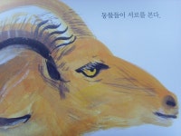 [알라딘서재]콘도르, 그들이 갈망하는 것!