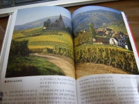 [알라딘서재]와인의 모든 것 와인의 모든 것 