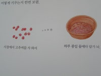 [알라딘서재]할머니 농사일기 할머니 농사일기