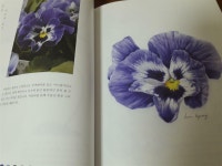 [알라딘서재][리뷰] 오늘 당신이 만나는 꽃그림 보태니컬아트 [리뷰] 오늘 당신이 만나는 꽃그림 보태니컬아트
