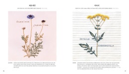 들꽃 자수 | 국회도서관 국회전자도서관