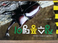 알라딘: [중고] 장수풍뎅이 [중고] 장수풍뎅이