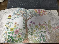 [중고] 비밀의 정원 : 알라딘