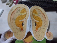 보면 건강이 보인다 이현중지음 이혈과건강 | 알라딘 [중고] 이혈상담치유학 -입문 개정판 귀를 보면 건강이 보인다 이현중지음  이혈과건강