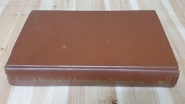 알라딘: [중고] A Review of Anatomical Neurology (Hardcover) [중고] A Review of Anatomical Neurology (Hardcover)