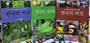 [중고] 한국의 산나물+한국의 약초+ 한국의 버섯[전3권,양장]<우리 산과 들에 숨쉬고 있는 보물 시리즈>/발행년도 상이 : 알라딘