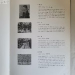 [중고] [11AA11] 오지호 /1978년/전남매일신문사/도록/민화/화집/회화/서예/동양화/서양화/작품집/박물관/고미술/공예/조각/미술관... 