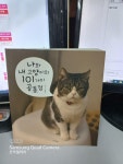 [중고] 나와 내 고양이의 101가지 공통점 | 알라딘 [중고] 나와 내 고양이의 101가지 공통점