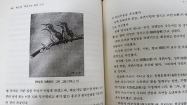 [중고] 박정희대통령전기 2권세트 민족중흥연구회 정재경 1994년 : 알라딘 [중고]  박정희대통령전기  2권세트 민족중흥연구회 정재경 1994년... 